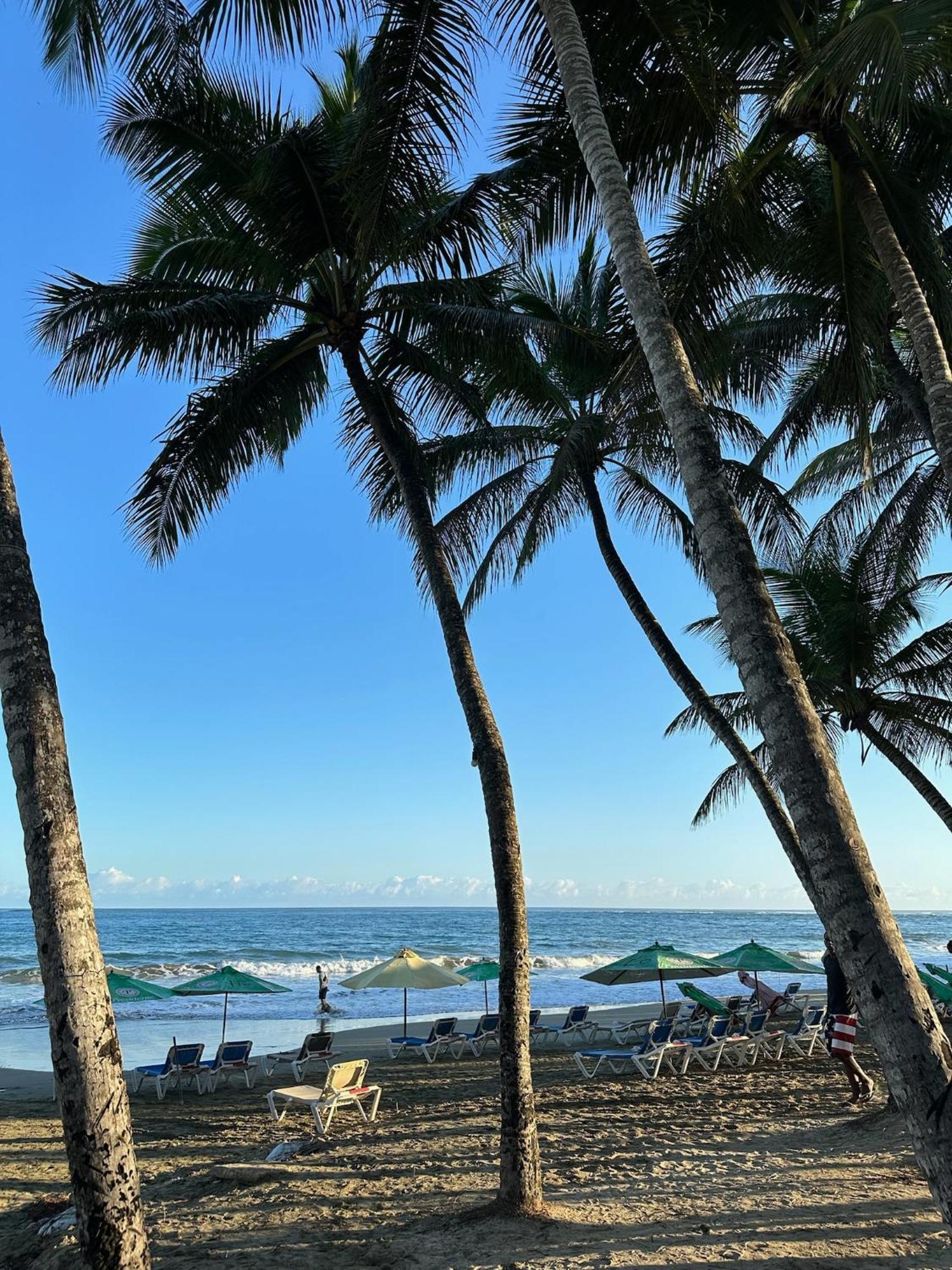 Catalina, Cabrera Oceanview Multi 2 Bd 2 Bath Condo Units With Balcony And Pool Luaran gambar