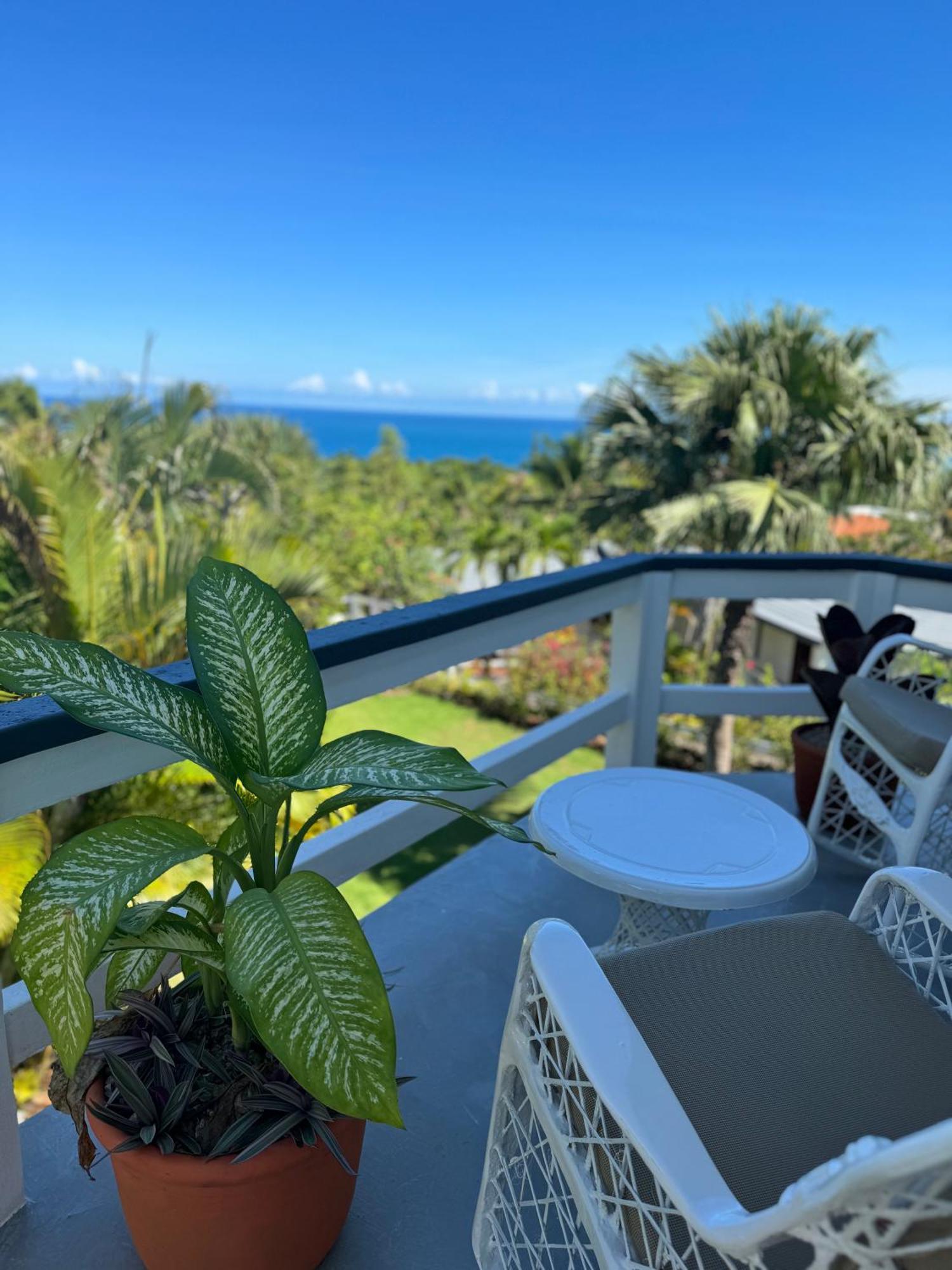 Catalina, Cabrera Oceanview Multi 2 Bd 2 Bath Condo Units With Balcony And Pool Luaran gambar